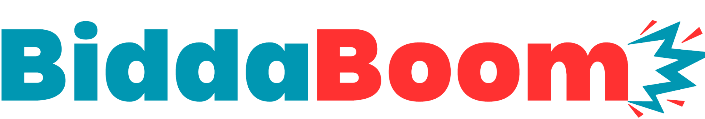 BiddaBoom logo