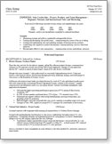 Example resume Junior to Mid-Level Professional; Multiple Employers
