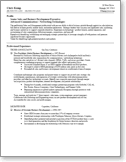 Example resume Seasoned Professional; Multiple Employers