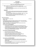 Example resume Transition- from Self-Employed back to Employee