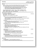 Example resume Junior to Mid-level Professional; Multiple Employers, Single Page